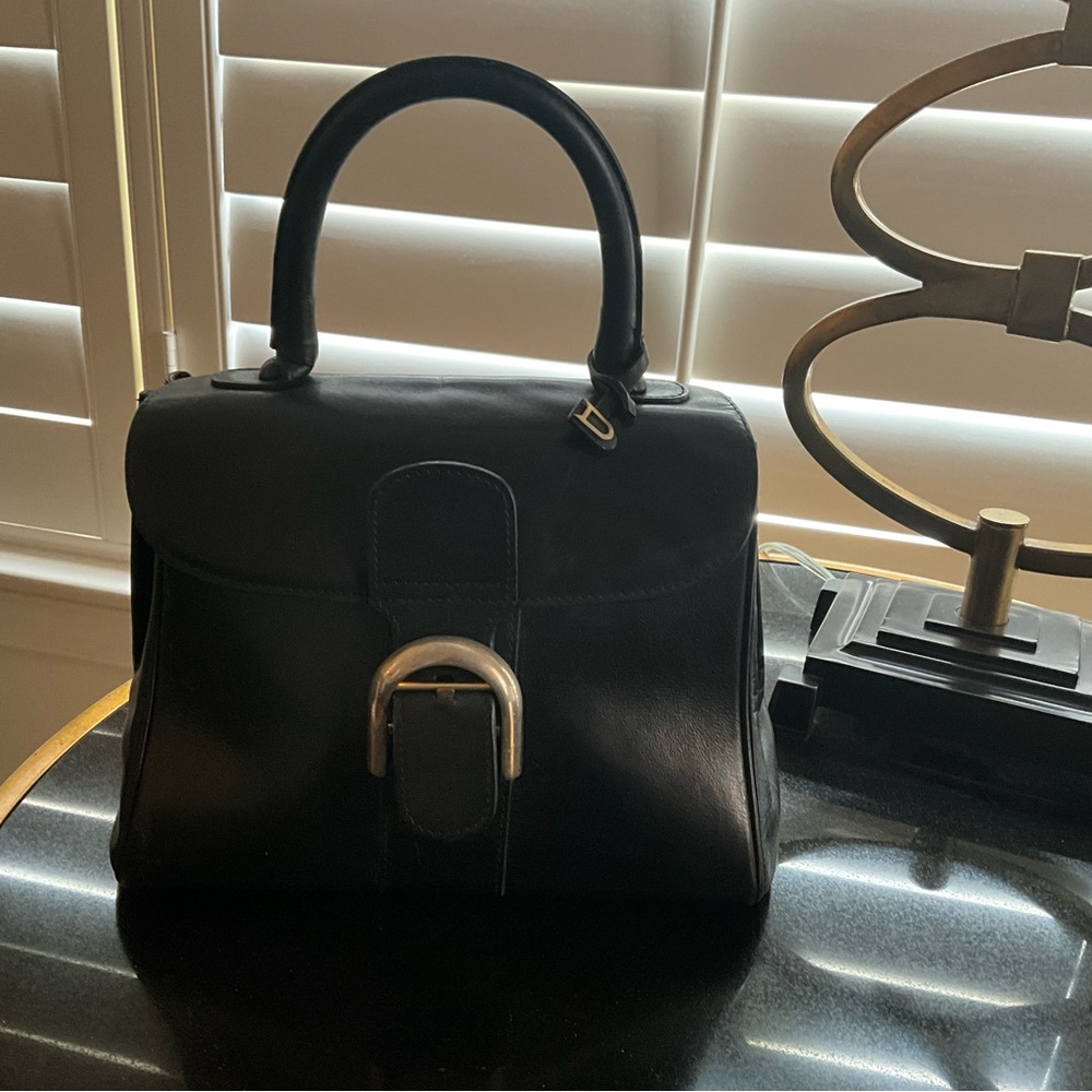 Vintage Delvaux Brillant PM Bag